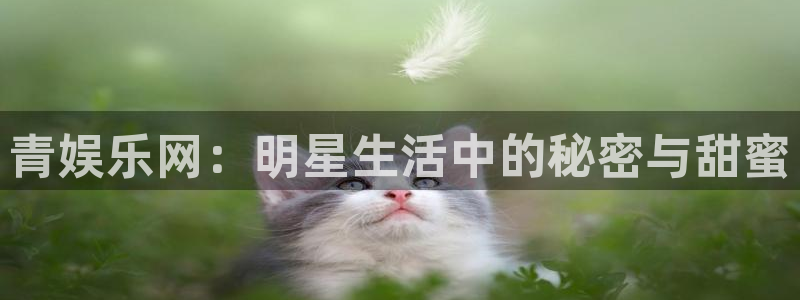 门徒平台：青娱乐网：明星生活中的秘密与甜蜜