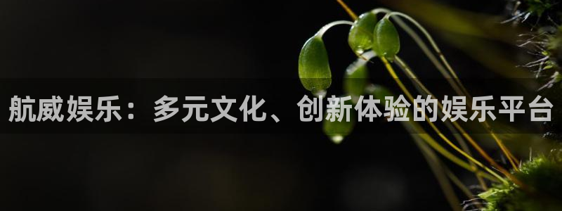 门徒平台登录注册：航威娱乐：多元文化、创新体验的娱乐平台