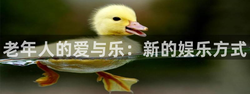 门徒平台登录注册：老年人的爱与乐：新的娱乐方式