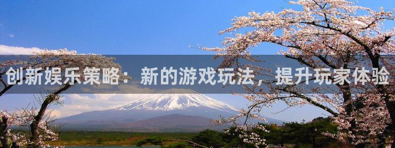 门徒平台登陆