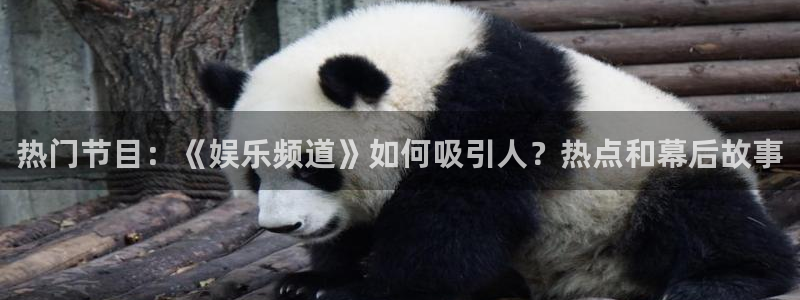 门徒娱乐