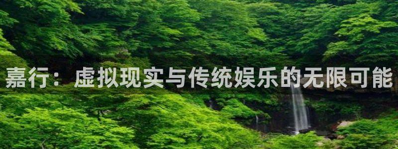 门徒平台登录注册：嘉行：虚拟现实与传统娱乐的无限可能