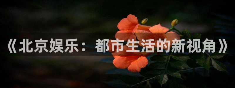 门徒娱乐：《北京娱乐：都市生活的新视角》