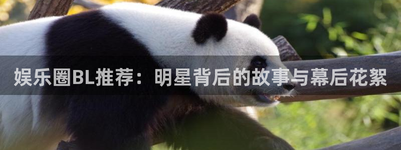 门徒平台登录入口官网注册：娱乐圈BL推荐：明星背后的故事与幕后花絮