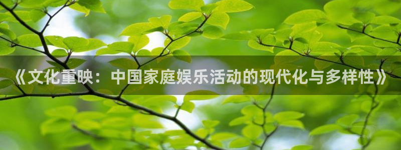 门徒平台登陆：《文化重映：中国家庭娱乐活动的现代化与多样性》