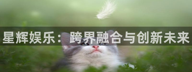 门徒娱乐：星辉娱乐：跨界融合与创新未来
